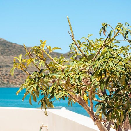 Chrispy Beach Resort, Agia Marina Exterior foto
